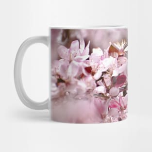 Spring Cherry Blossom Frame Mug